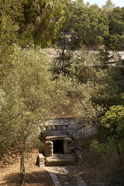 dsc_3370_v.jpg