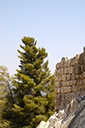 dsc_3306_v.jpg