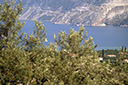 dsc_3373.jpg