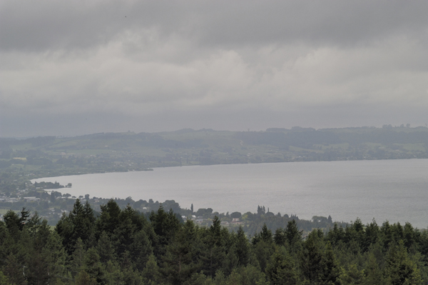 DSC_4410.jpg