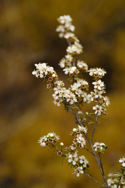 DSC_4469_v.jpg