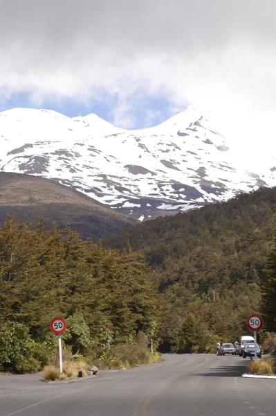 DSC_4517_v.jpg