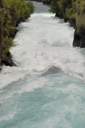 DSC_4489_v.jpg