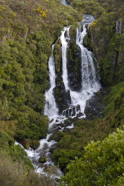 DSC_4536_v.jpg