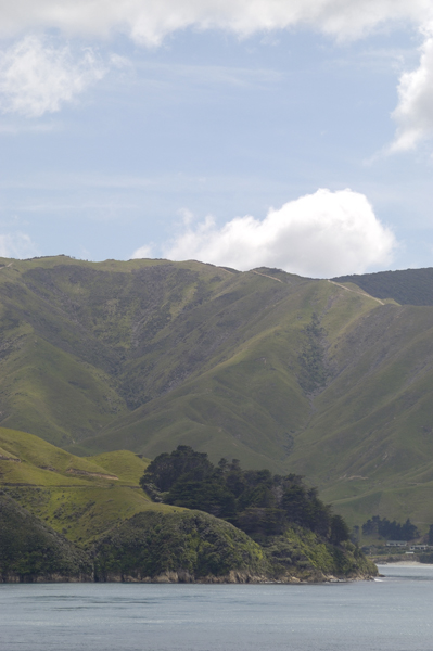 DSC_4634_v.jpg