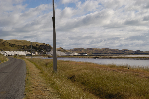 DSC_4695.jpg