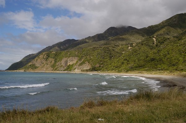 DSC_4700.jpg