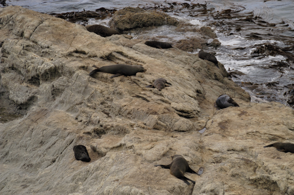 DSC_4707.jpg