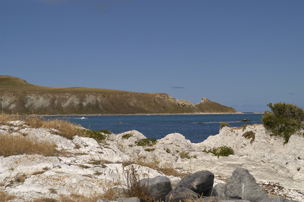 DSC_4758.jpg