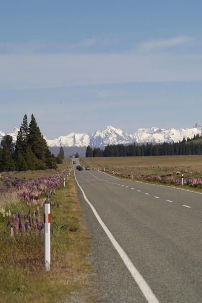 DSC_4804_v.jpg