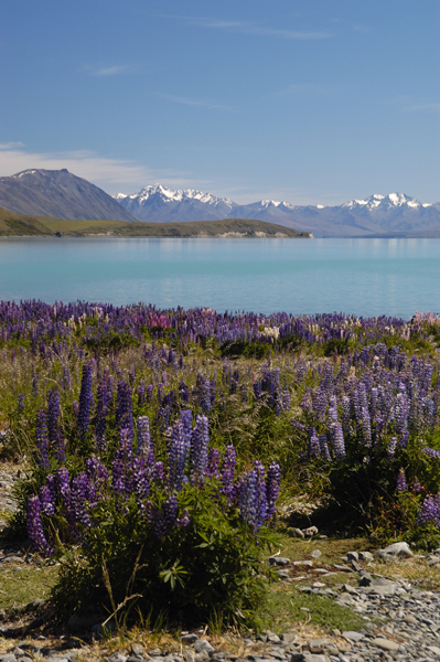 DSC_4817_v.jpg