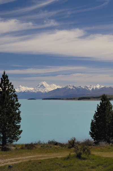 DSC_4830_v.jpg