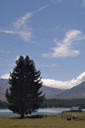 DSC_4826_v.jpg
