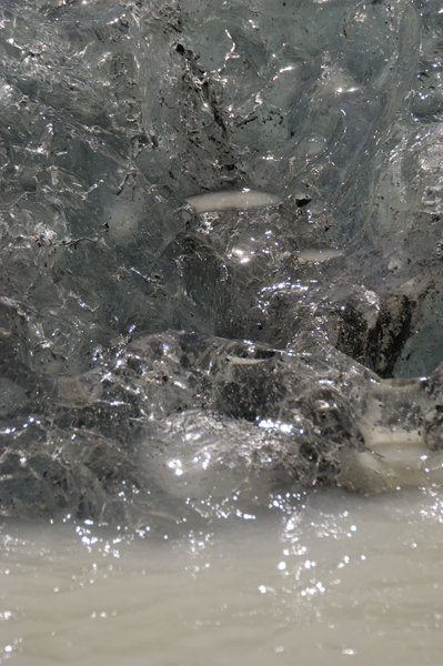 DSC_4877_v.jpg