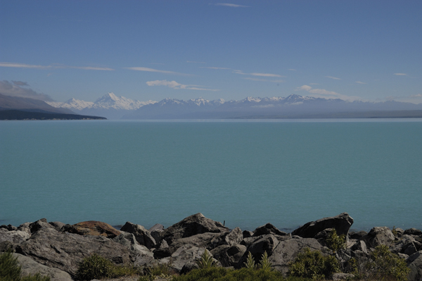 DSC_5009.jpg