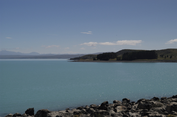 DSC_5010.jpg
