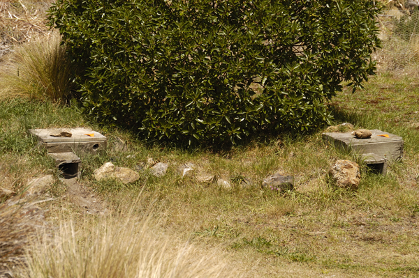 DSC_5027.jpg