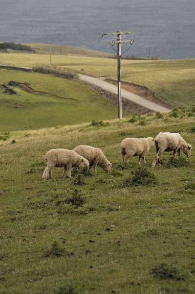 DSC_5060_v.jpg