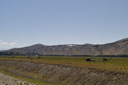 DSC_5014.jpg