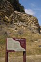 DSC_5021_v.jpg