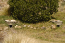 DSC_5027.jpg