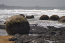 DSC_5030.jpg