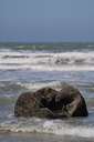 DSC_5036_v.jpg