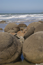 DSC_5039_v.jpg