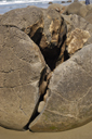 DSC_5040_v.jpg
