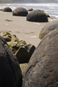 DSC_5041_v.jpg