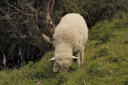 DSC_5050.jpg