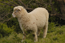 DSC_5051.jpg