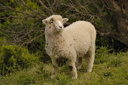 DSC_5052.jpg