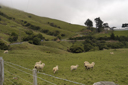 DSC_5053.jpg