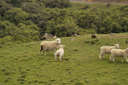 DSC_5054.jpg