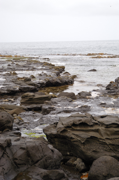 DSC_5140_v.jpg