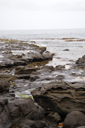 DSC_5140_v.jpg