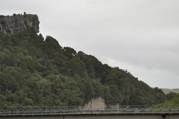 DSC_5183.jpg