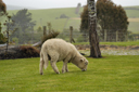 DSC_5113.jpg