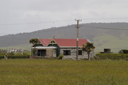 DSC_5174.jpg