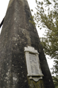 DSC_5181_v.jpg