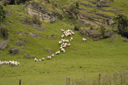 DSC_5188.jpg