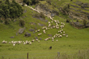 DSC_5191.jpg