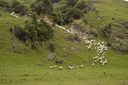 DSC_5192.jpg