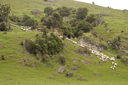 DSC_5193.jpg