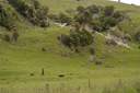 DSC_5194.jpg