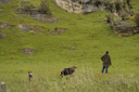 DSC_5195.jpg