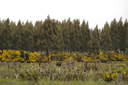 DSC_5197.jpg