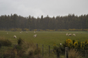 DSC_5200.jpg
