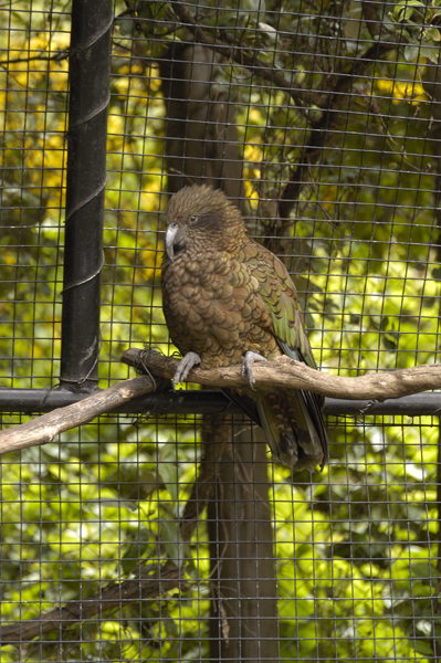 DSC_5470_v.jpg